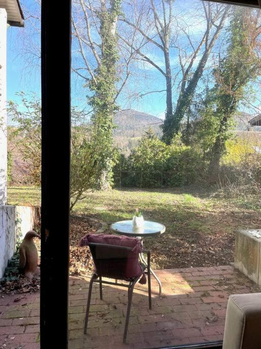 Merkurblick In Baden-Baden Dış mekan fotoğraf